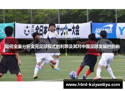 如何全面分析金元足球模式的利弊及其对中国足球发展的影响