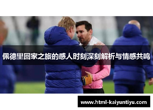 佩德里回家之旅的感人时刻深刻解析与情感共鸣
