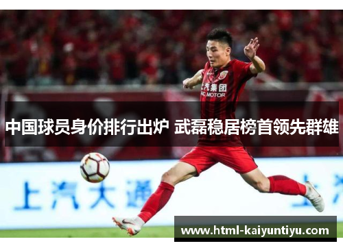 中国球员身价排行出炉 武磊稳居榜首领先群雄