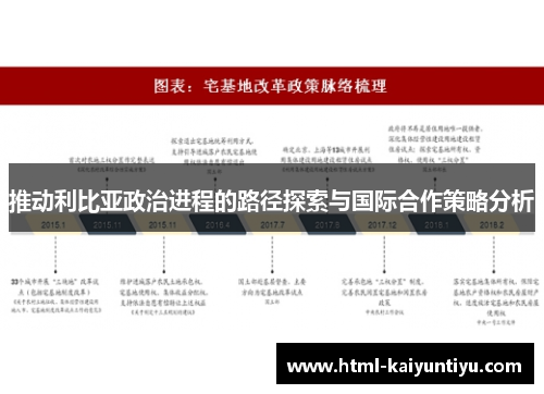 推动利比亚政治进程的路径探索与国际合作策略分析